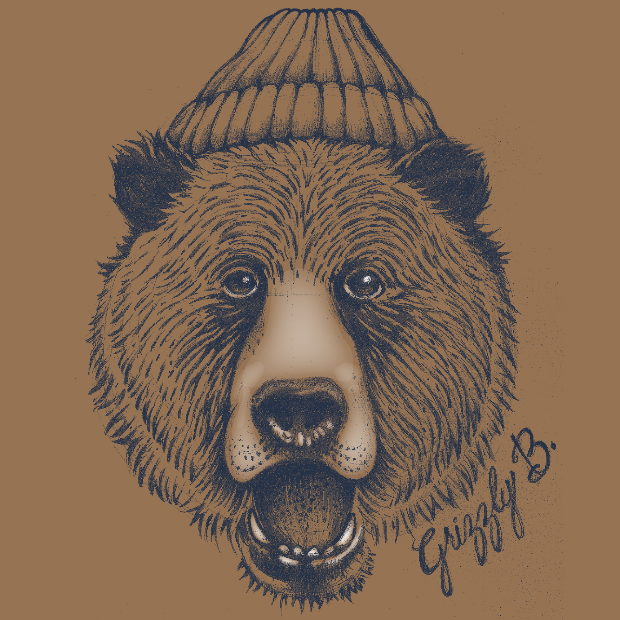 Grizzly B. Q4 Boys Tee Shirt Graphic