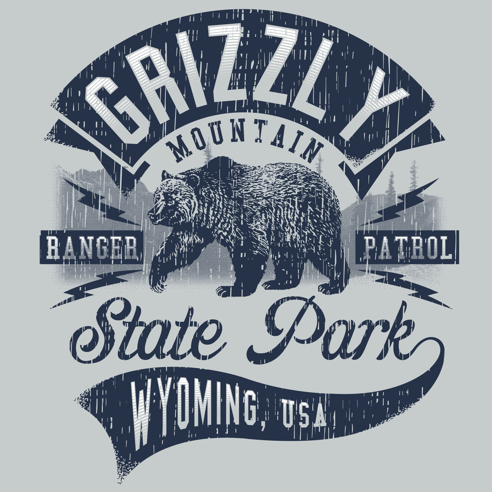 Grizzly Mountain Q4 Boys Tee Shirt Graphic