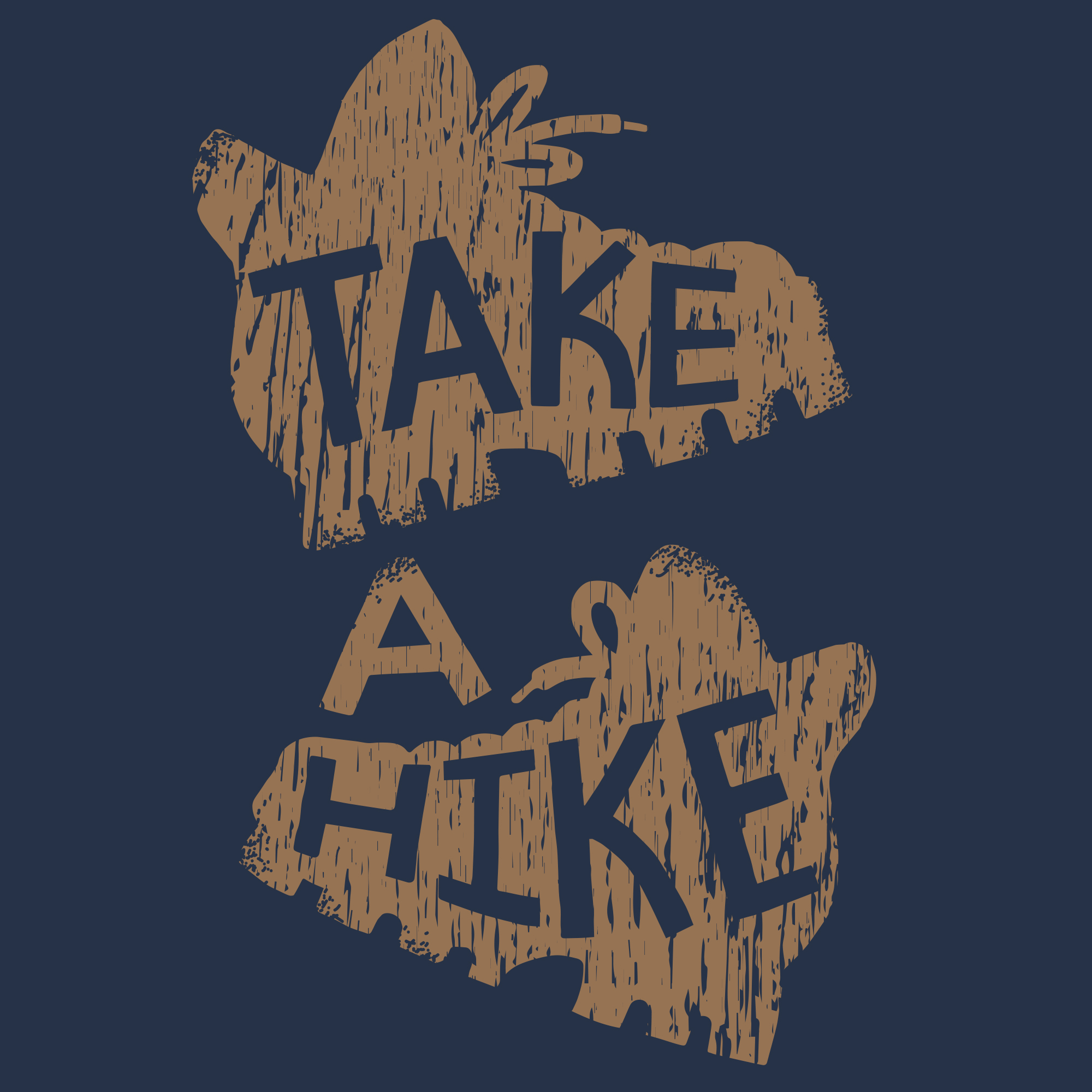 Take A Hike Q4 Boys Tee Shirt Graphic