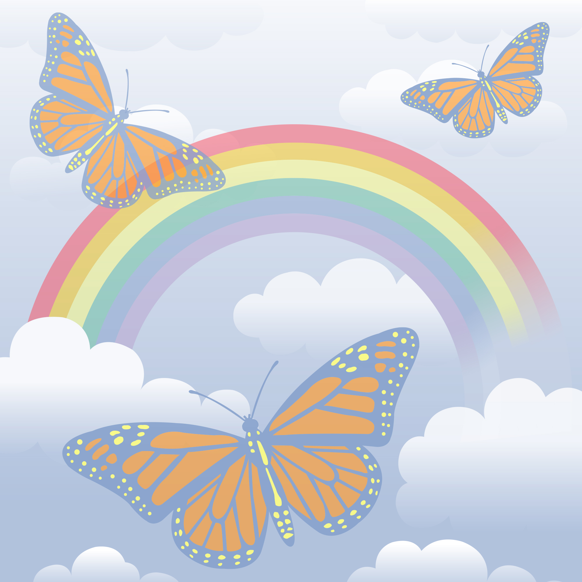 Zanadi Butterfly Rainbow Graphic